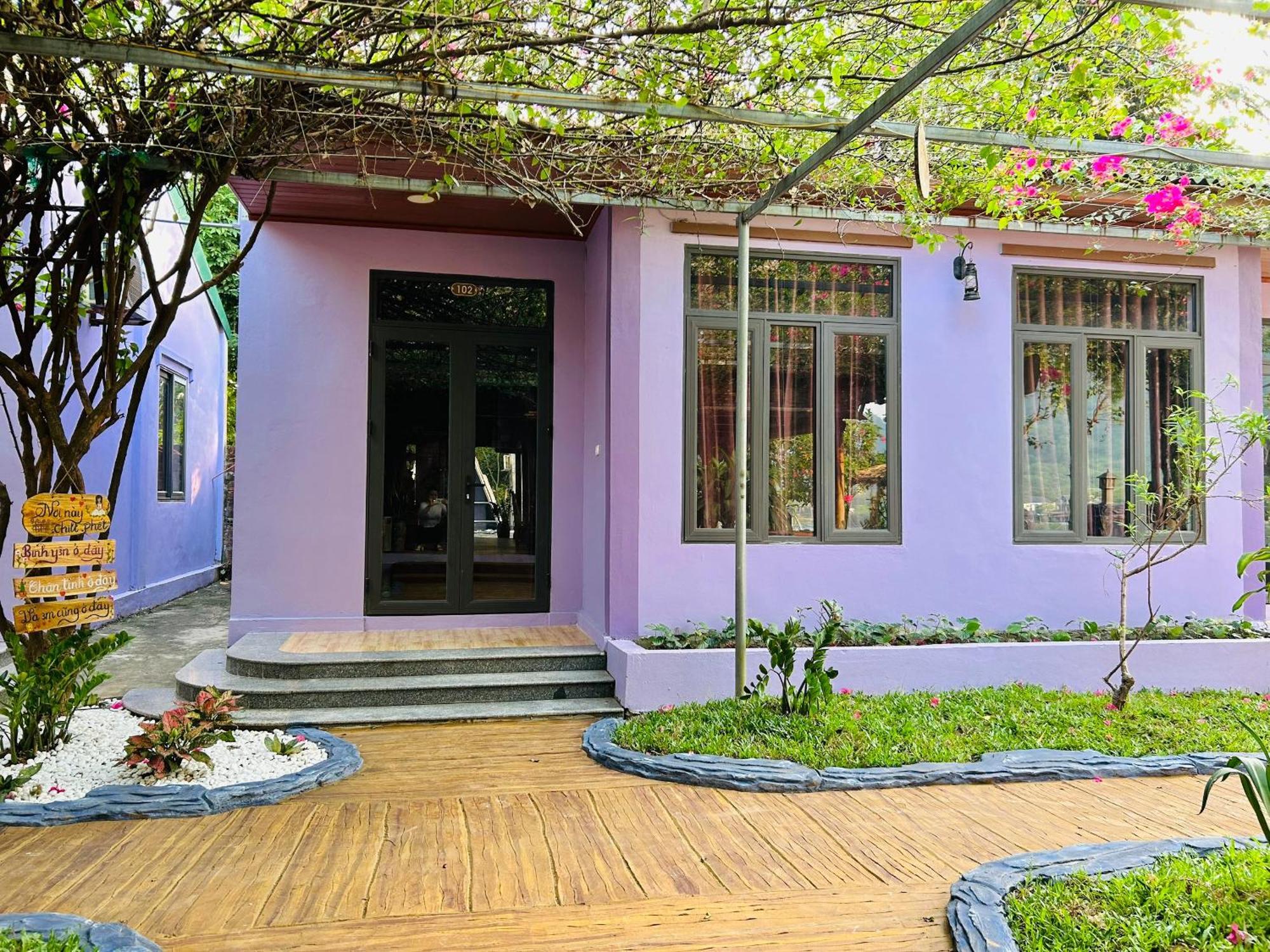 Son River House Homestay *