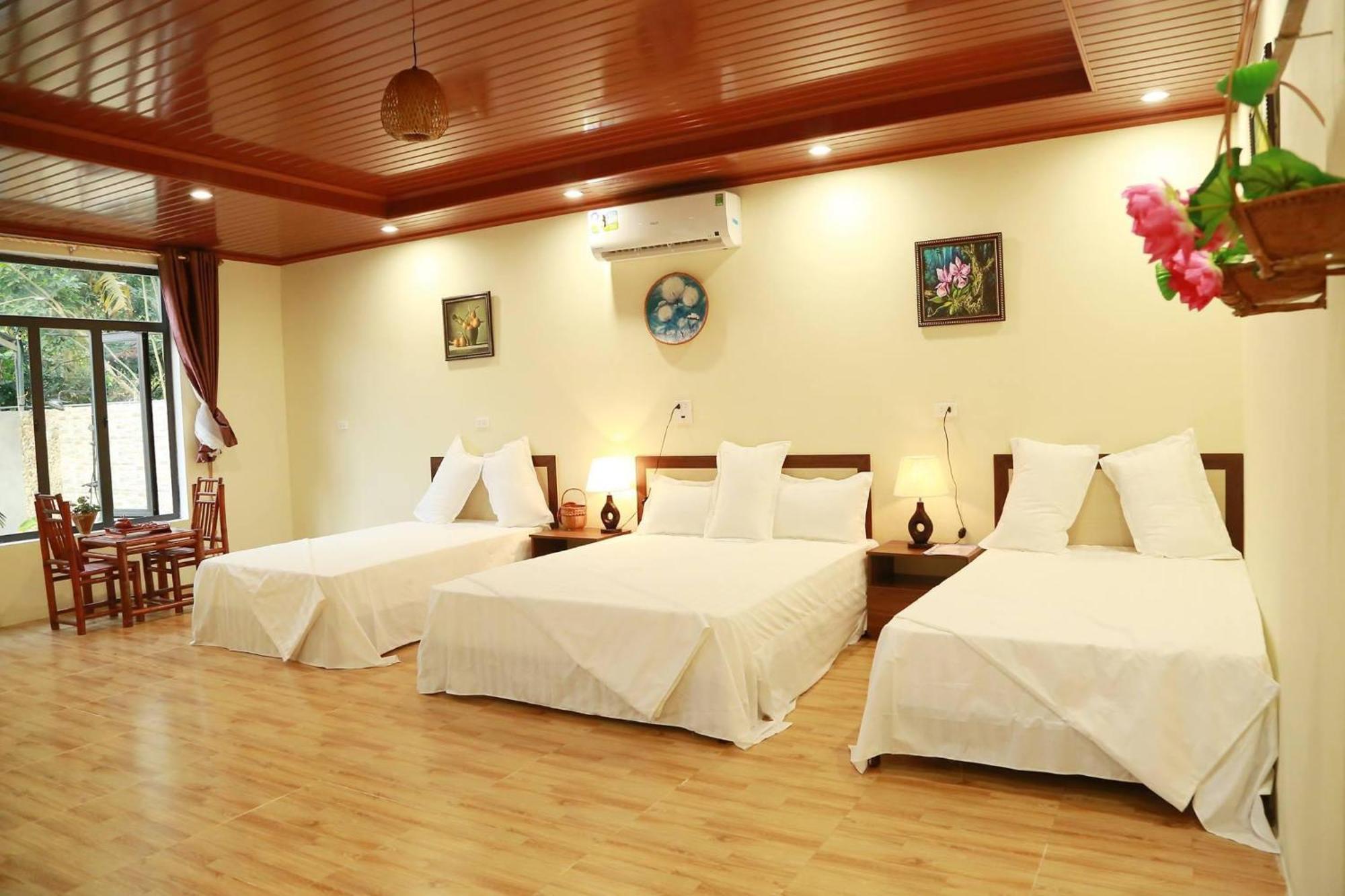 Homestay Son River House Phong Nha
