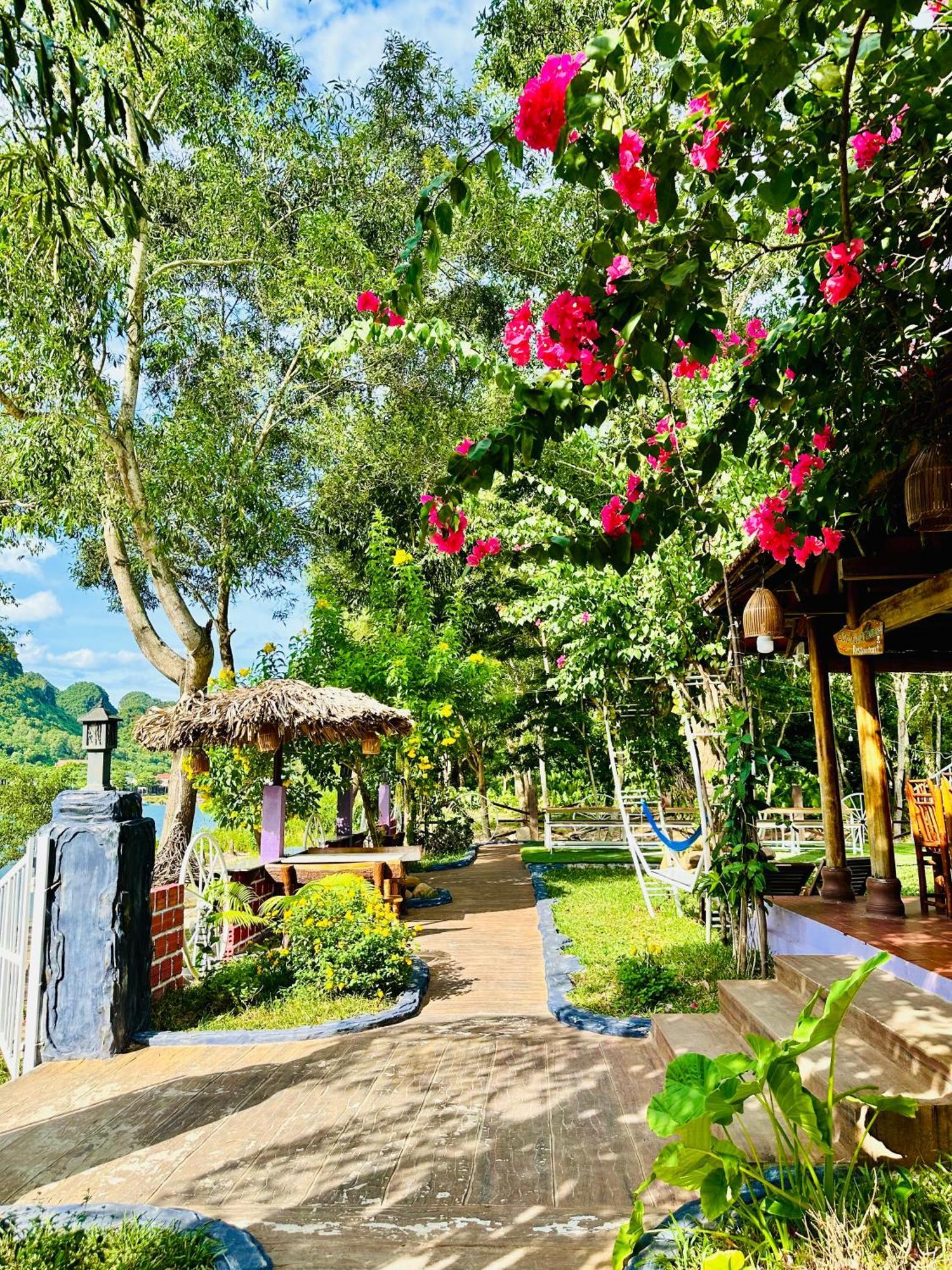 Son River House Homestay